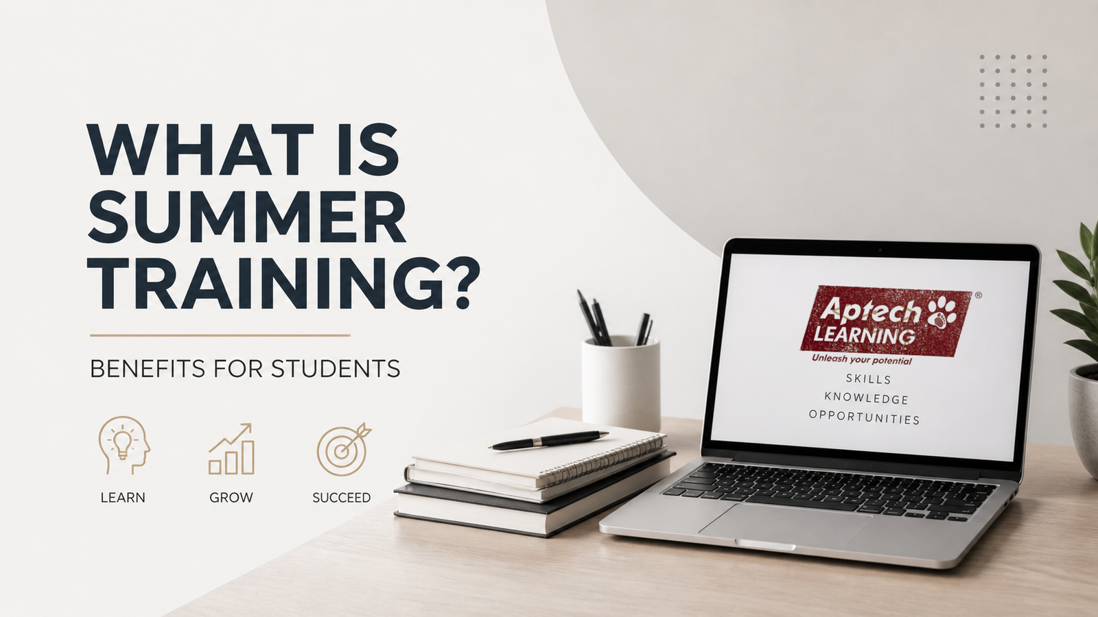 what is summer training